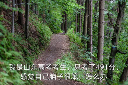 山東本一線多少分,距離一本線大約相差多少分
