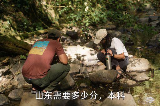 山東需要多少分，本科