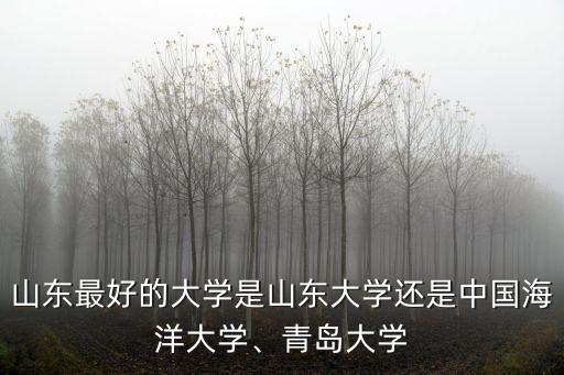 山東最好的大學是山東大學還是中國海洋大學、青島大學