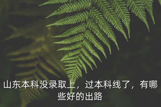 山東本科報志愿多少人沒錄取,三萬多考生志愿白填了