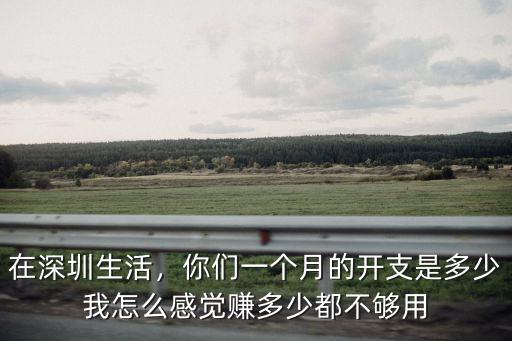 在深圳生活，你們一個月的開支是多少我怎么感覺賺多少都不夠用