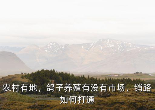 湛江哪里有養殖鴿子的,請問哪里有養鴿子的