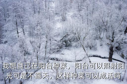 廣東戶外陽臺種菜怎么樣,我想自己在陽臺種菜