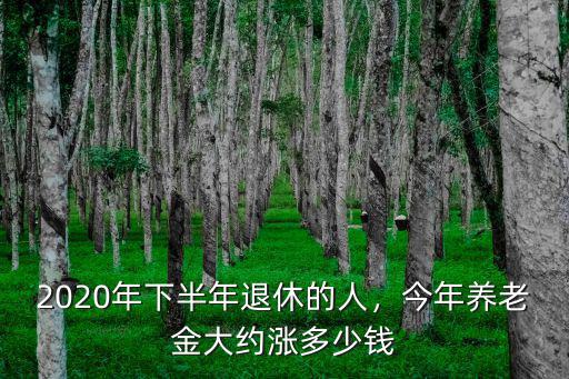 山東1700元退休金今年能漲多少,今年養老金大約漲多少錢