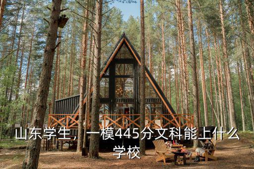 本科線文科山東多少分,2018年山東本科線