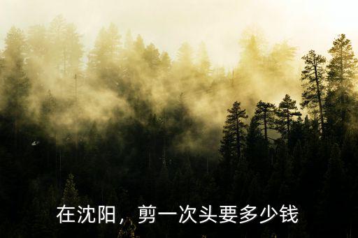濟(jì)南吉米造型剪發(fā)多少錢,在濟(jì)南理發(fā)多少錢