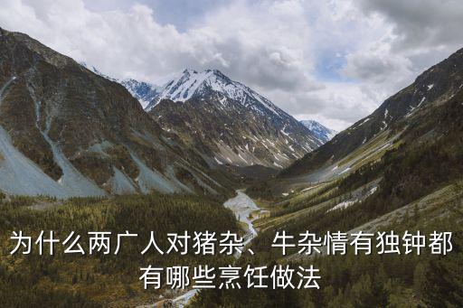 廣東人做牛雜怎么樣,廣東牛雜的正宗做法