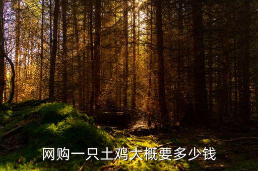 網購一只土雞大概要多少錢