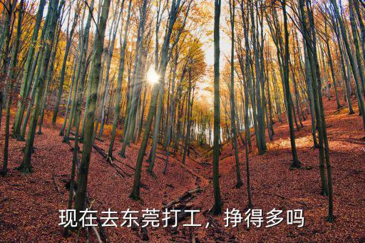 最近東莞樟木頭打工怎么樣,現在去東莞打工