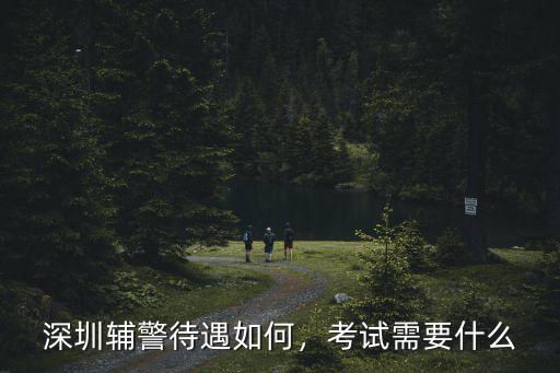 深圳輔警考試怎么樣,深圳輔警待遇如何