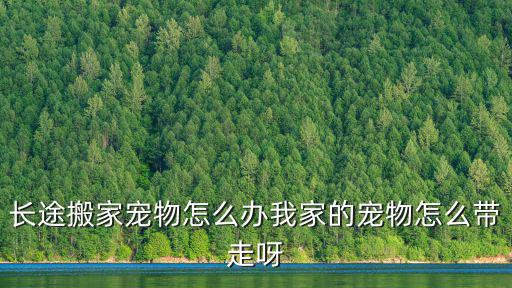 長途搬家寵物怎么辦我家的寵物怎么帶走呀