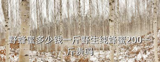 野蜂蜜多少錢一斤野生純蜂蜜200一斤貴嗎