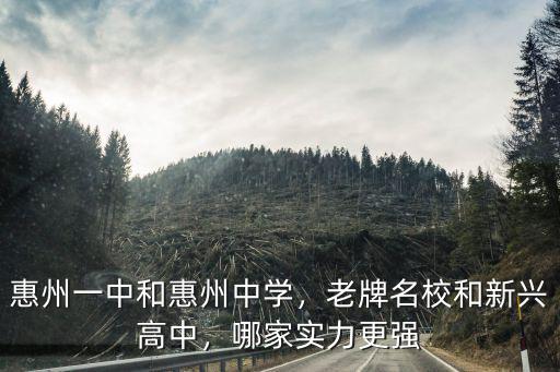 惠州一中和惠州中學，老牌名校和新興高中，哪家實力更強