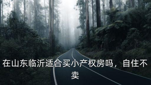 在山東臨沂適合買小產權房嗎，自住不賣