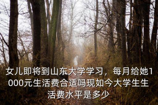 山東大學(xué)學(xué)費是多少1年,山東大學(xué)的世界地位怎么樣