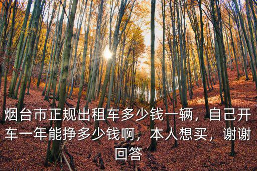 煙臺市正規出租車多少錢一輛，自己開車一年能掙多少錢啊，本人想買，謝謝回答