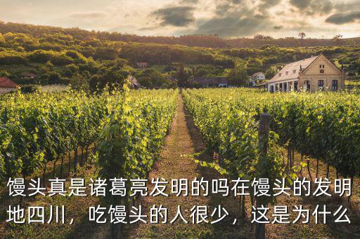 饅頭真是諸葛亮發明的嗎在饅頭的發明地四川，吃饅頭的人很少，這是為什么