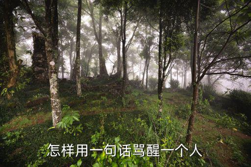 怎么用一句話征服廣東人,怎樣用一句話罵醒一個人