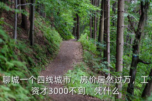 聊城四線房價多少,聊城一個四線城市
