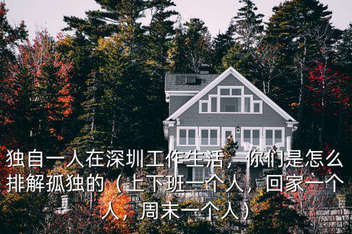獨自一人在深圳工作生活，你們是怎么排解孤獨的（上下班一個人，回家一個人，周末一個人）