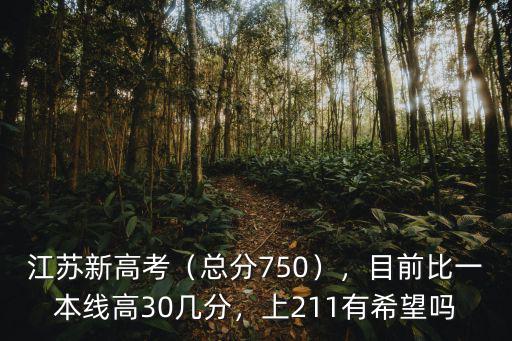 江蘇新高考（總分750），目前比一本線高30幾分，上211有希望嗎