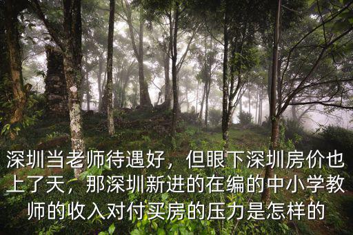 深圳的教師工資多少,深圳30萬年薪招聘教師