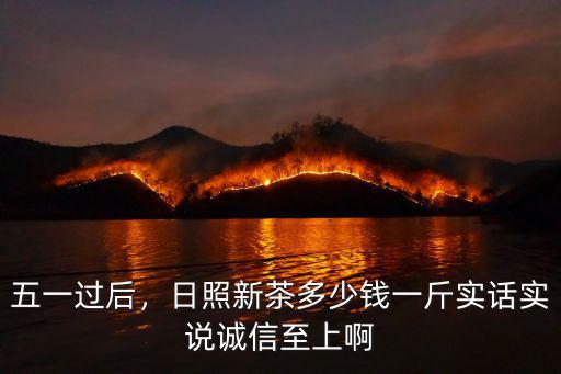 五一過后，日照新茶多少錢一斤實話實說誠信至上啊