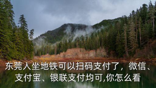 東莞人坐地鐵可以掃碼支付了，微信、支付寶、銀聯支付均可,你怎么看