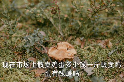 威海現在雞蛋多少錢一斤,販賣雞蛋有錢賺嗎