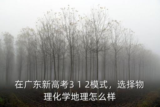 廣東新高考怎么選課最好,在廣東新高考3 1 2模式