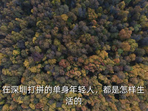 在深圳打拼的單身年輕人，都是怎樣生活的