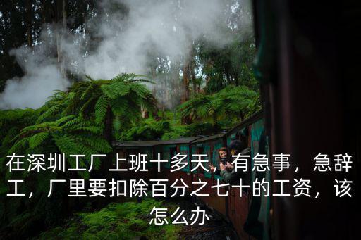 深圳工廠急辭工扣多少錢,在深圳工廠上班十多天