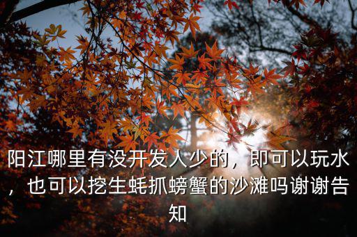 陽江哪里有沒開發(fā)人少的，即可以玩水，也可以挖生蠔抓螃蟹的沙灘嗎謝謝告知