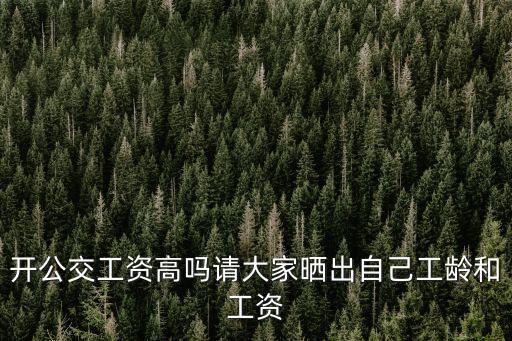 蘇州市公交司機工資多少,司機一個月工資多少錢
