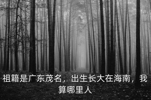 祖籍是廣東茂名，出生長大在海南，我算哪里人