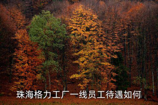 怎么進入格力公司珠海,應屆生工作簽珠海格力集團
