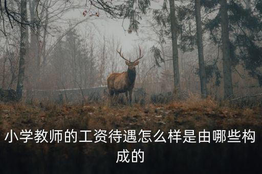 陽江小學老師的工資怎么樣,小學教師的工資待遇怎么樣