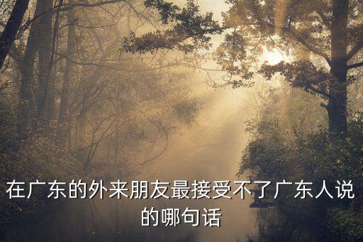 在廣東的外來朋友最接受不了廣東人說的哪句話