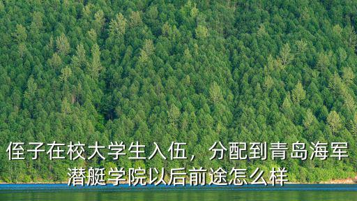侄子在校大學生入伍，分配到青島海軍潛艇學院以后前途怎么樣