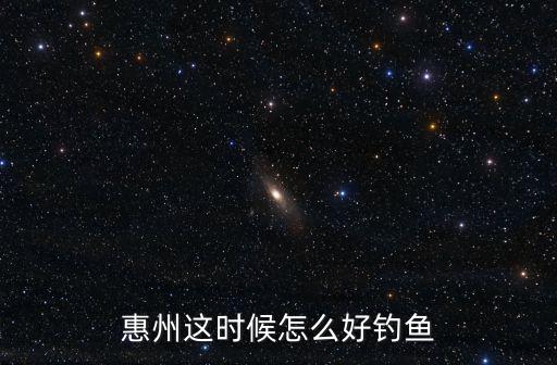 阿峰在惠州哪里釣魚,惠州這時(shí)候怎么好釣魚