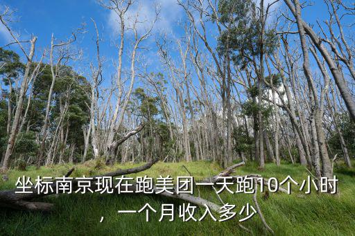 南京美團外賣專送一天能跑多少單,一天能有多少單