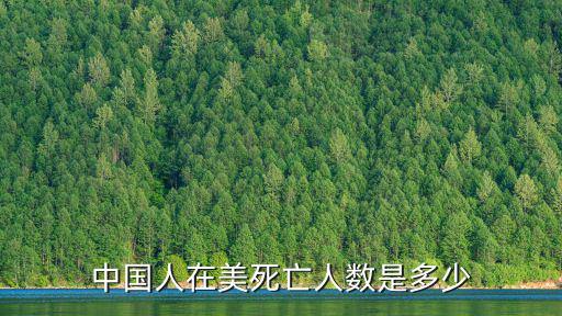 肺炎廣州死亡多少人,中國人在美死亡人數是多少