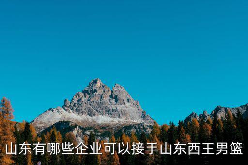 山東西王集團有多少億,山東西王集團接手山東男籃