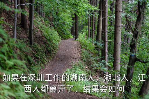 如果在深圳工作的湖南人，湖北人，江西人都離開了，結果會如何