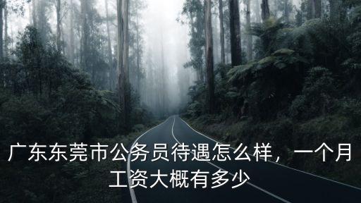 廣東樟木頭工資怎么樣,廣東東莞工廠現在工資怎么樣