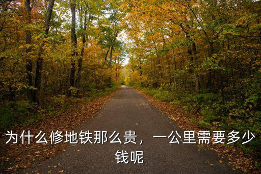 蘇州地鐵一公里造價多少錢,為什么修地鐵那么貴
