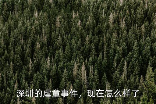 深圳虐童事件小女孩現(xiàn)在怎么樣了,深圳的虐童事件