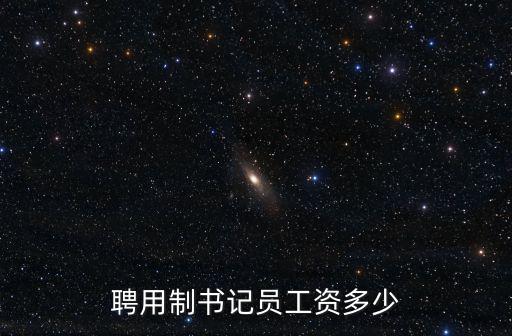聘用制書記員工資多少