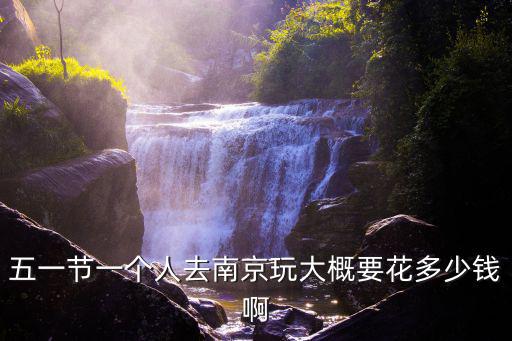 五一節一個人去南京玩大概要花多少錢啊