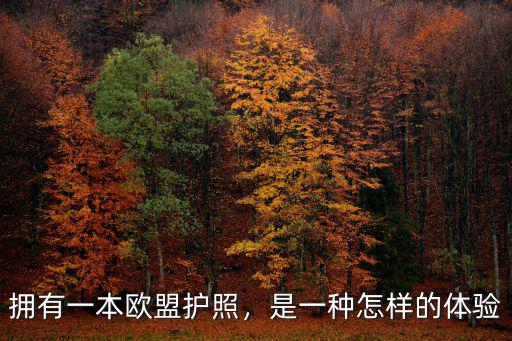 擁有一本歐盟護照，是一種怎樣的體驗